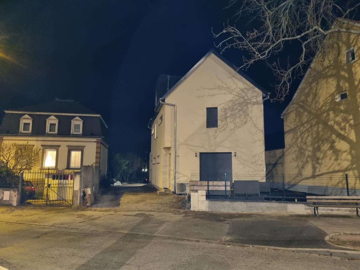 Jolie maison Sauna, Balneo lumino thérapie et Terrasse Colmar Exterior foto